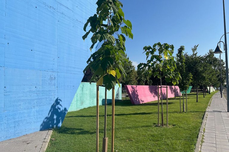 Madrid inicia un ambicioso plan de reforestación urbana